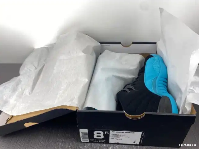 12 Blue Gamma Retro Jordan 130690-027 0610